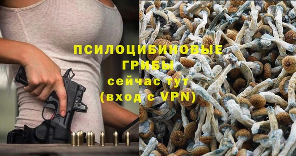 Альфа ПВП Алексеевка