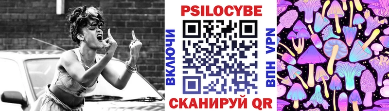 Псилоцибиновые грибы Psilocybe  что такое   Калининск 